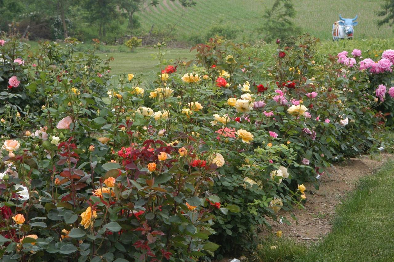 Annville Inn Bed & Breakfast Екстер'єр фото
