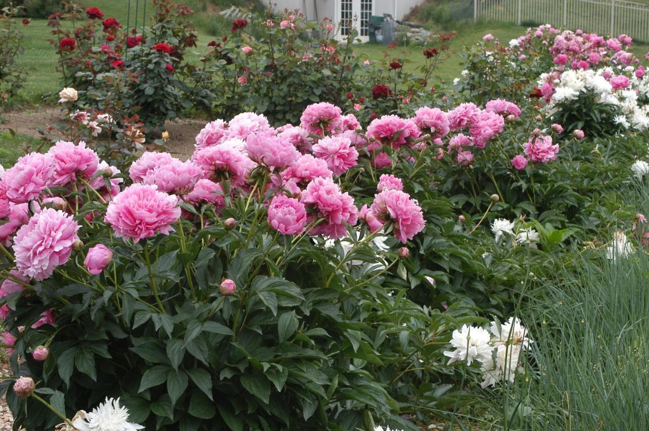Annville Inn Bed & Breakfast Екстер'єр фото